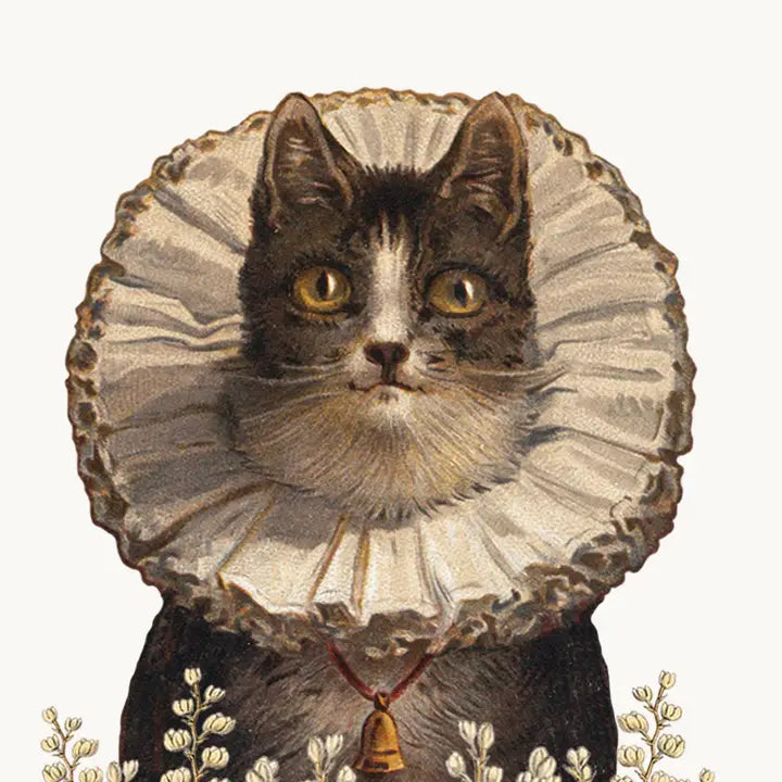 MINI-CRAZY CAT MINI ENCLOSURE CARD-P.FLYNN