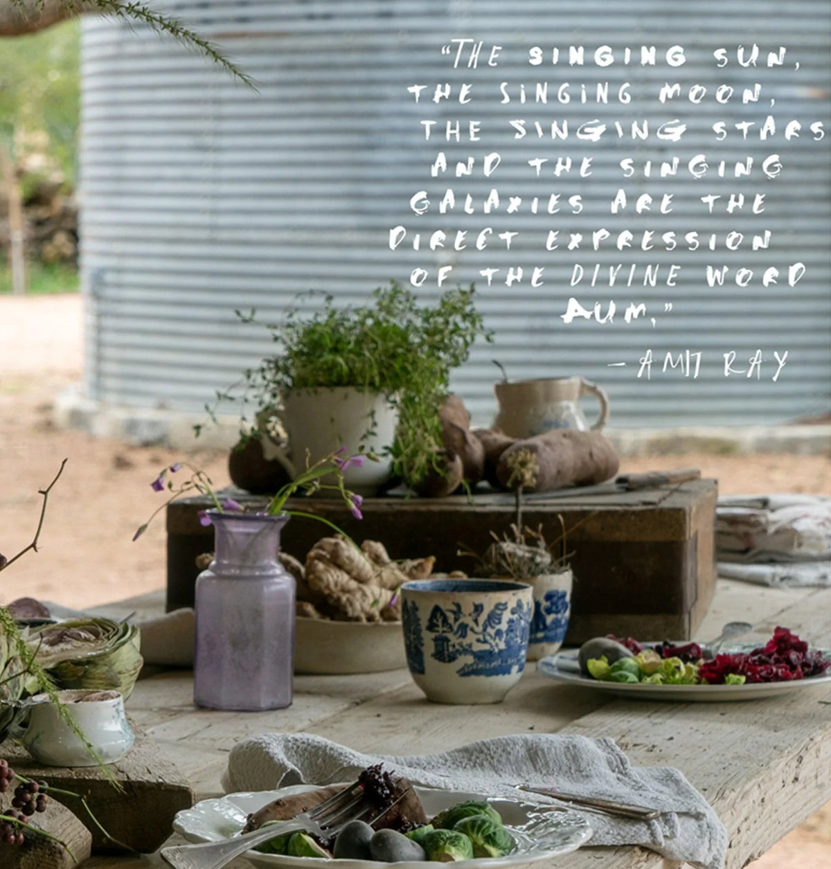 Back view of two women in lace, standing at a rustic wooden structure in sunlight