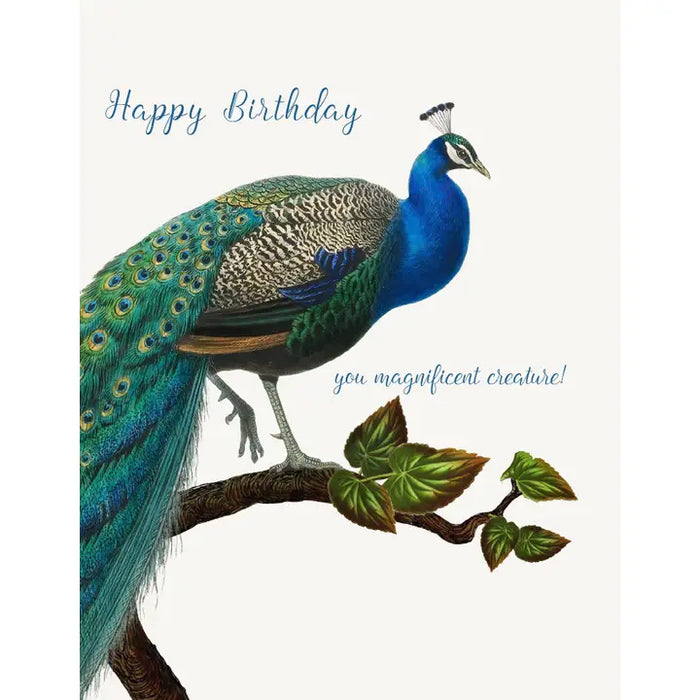 HAPPY BIRTHDAY YOU MAGNIFICENT A2 GREETING CARD-P.FLYNN