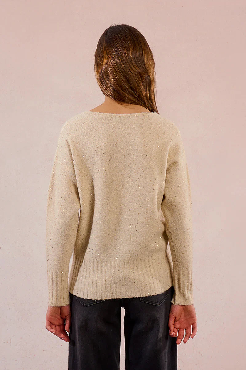 Back view of woman wearing a champagne sequin knit sweater