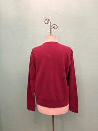 Back view of a classic burgundy V-neck sweatshirt displayed on a mannequin