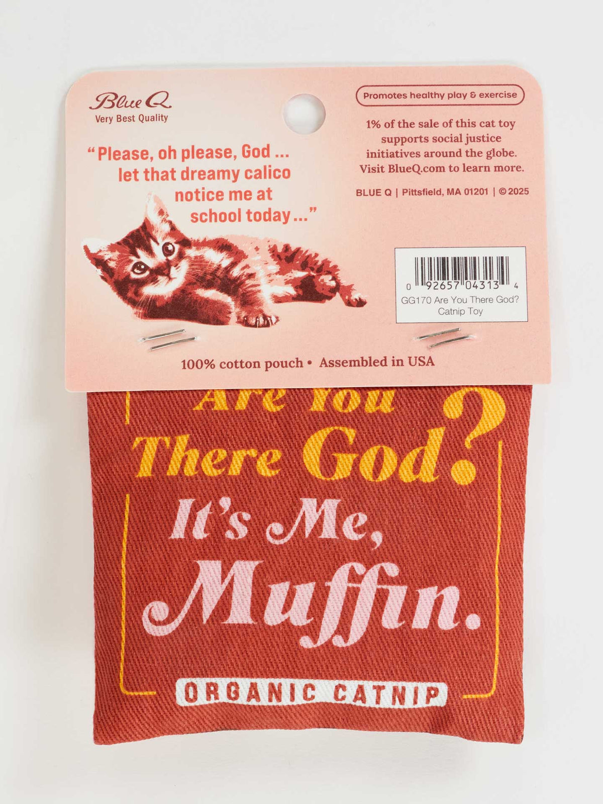 ARE YOU THERE GOD? CATNIP TOY-BLUE Q