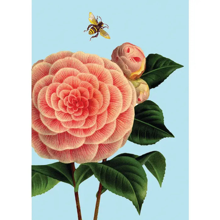 CAMELLIA MINI ENCLOSURE CARD-P.FLYNN