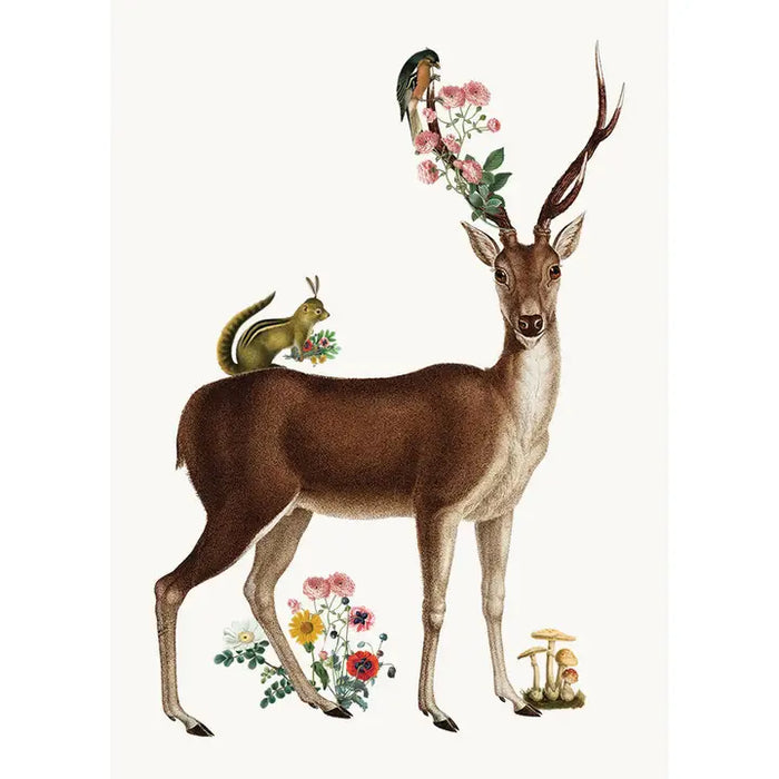 DEER MINI ENCLOSURE CARD-P.FLYNN