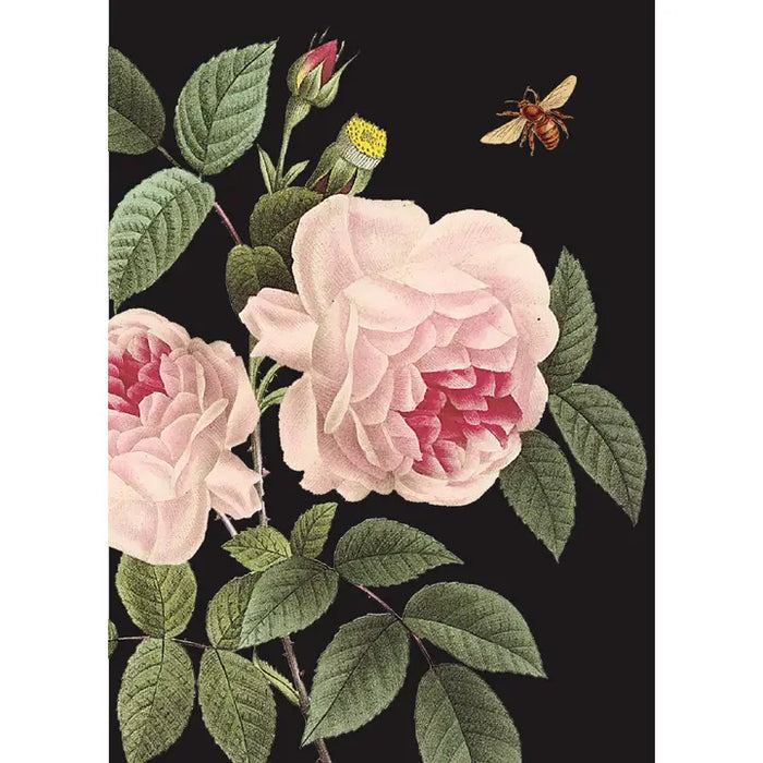 PINK ROSES MINI ENCLOSURE CARD-P.FLYNN