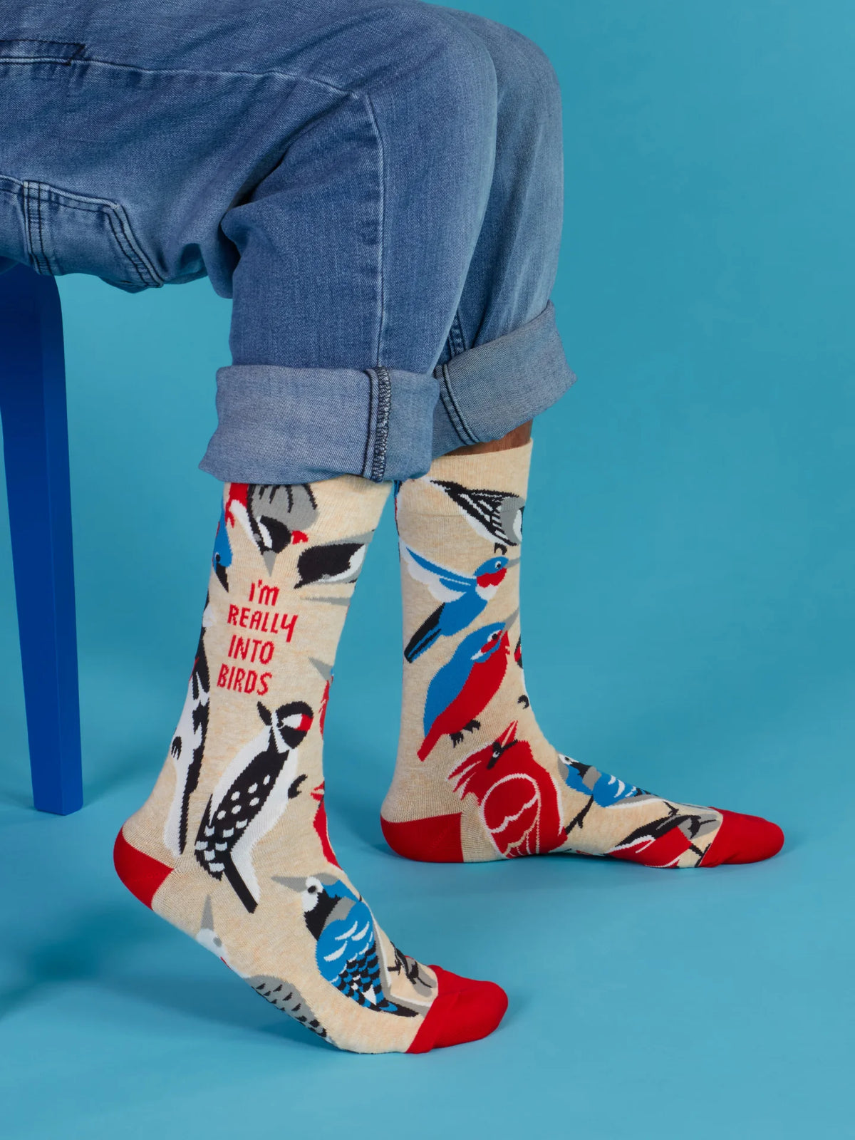 REALLY INTO BIRDS MEN'S CREW SOCKS-BLUE Q