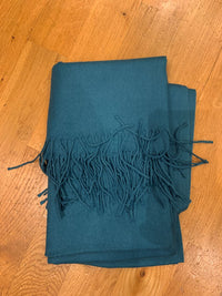 PASHMINA CASHMERE SHAWL ASSORT. COLORS-RAPTI FASHIONS