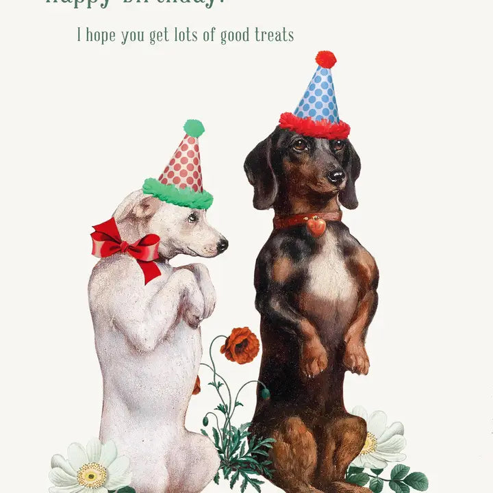HAPPY BIRTHDAY YOU DESERVE LOTS OF TREATS GREETING CARD-P.FLYNN