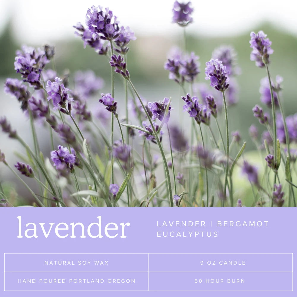 SOY CANDLES-DANA HERBERT