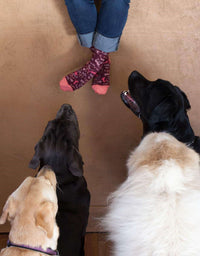 CATS! WOMENS' CREW SOCKS - BLUE Q